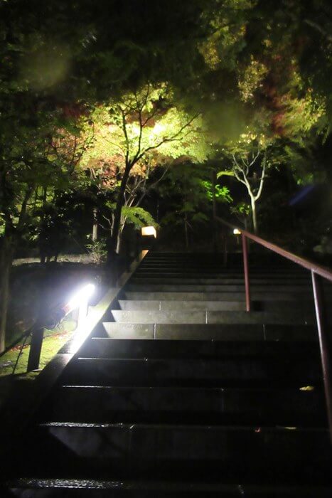 鎌倉　長谷寺　ライトアップ